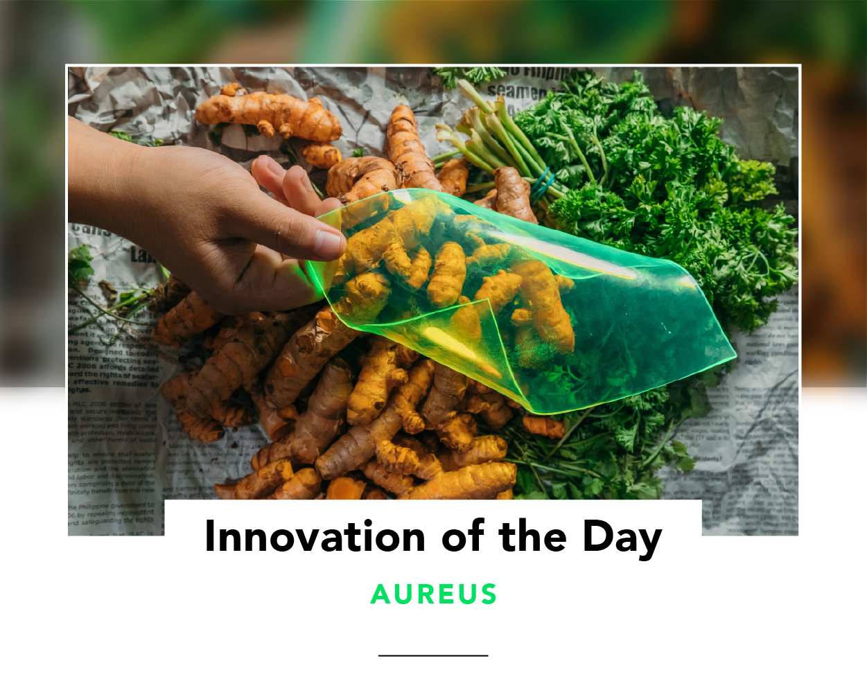 Innovation of the Day | Solar film by AuREUS uses crop waste to generate renewable energy